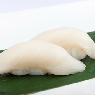 White Tuna