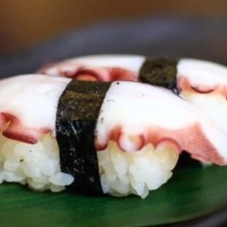 Tako - Octopus