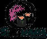 Sushi Hana Longmont